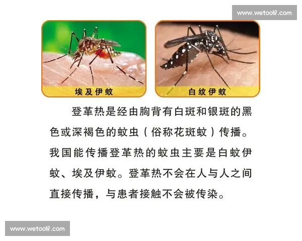 提高运动安全性从预防做起 科学制定体育活动防护措施